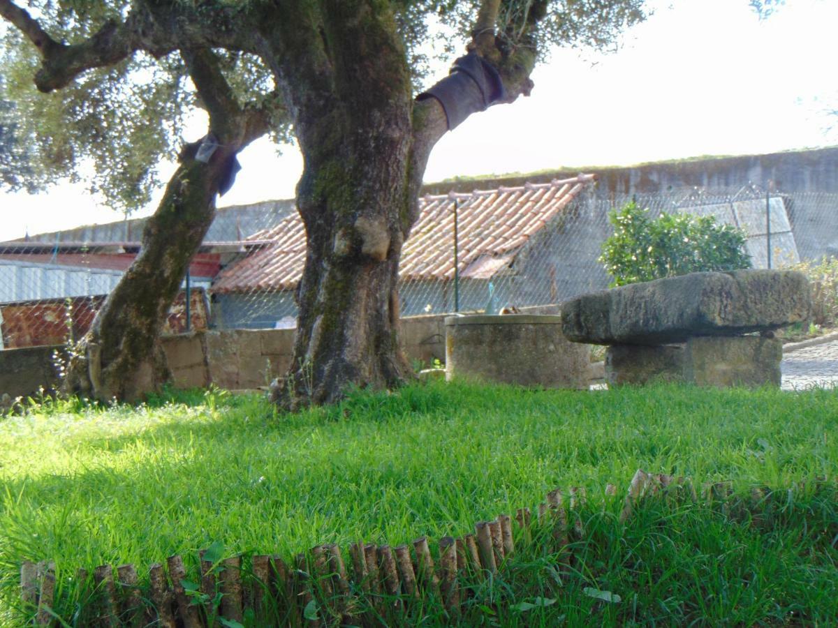 Maison d'hôtes Casa Rebelo à Cossourado  Extérieur photo